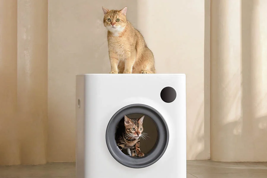 auto kitty litter box